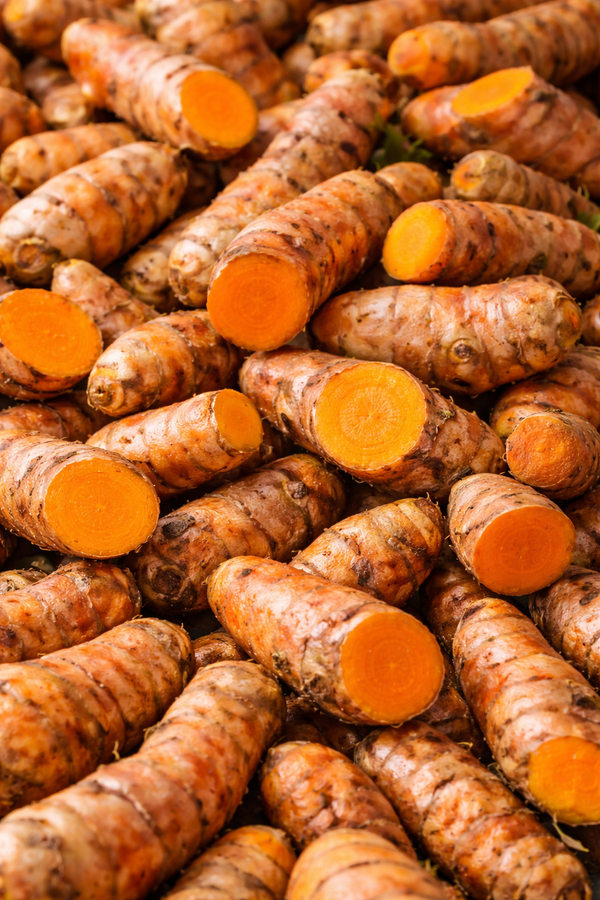Estratto secco di Curcuma